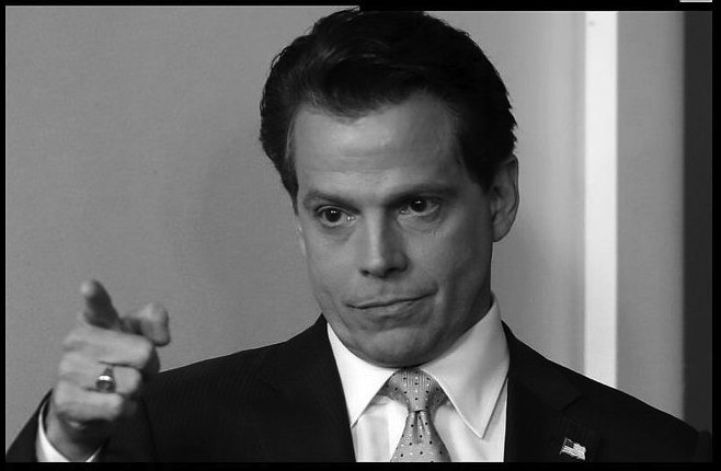 Scaramucci